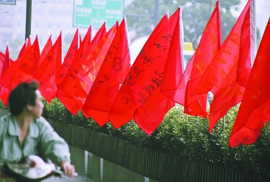 养了个时刻都在“震惊”的狗子，主人每天都会被逗乐：像是个行走的表情包！